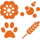 Allergy-Sensitivity-Testing-135×135-min