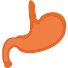 Digestion-Testing-135×135-min